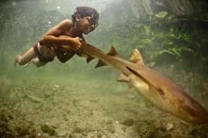 bajau_laut_pet_shark-640x426