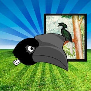sulu hornbill pinoy angry birds
