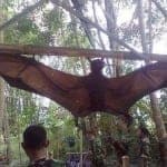 9 Shocking Hoaxes That Drove Pinoys Crazy