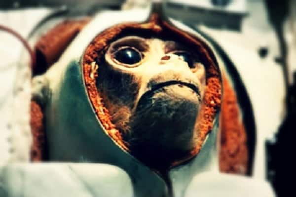 Almost Astronauts: The First Philippine Monkeys in Space Flight