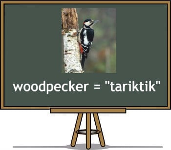 filipino translation of woodpecker