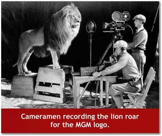 Cameramen recording the lion roar for the MGM logo