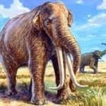 7 Prehistoric Animals You Didn’t Know Once Roamed The Philippines