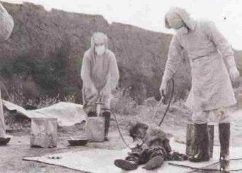 Japanese WWII biological warfare