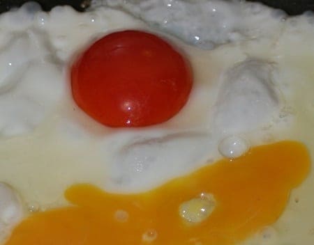 red egg yolk