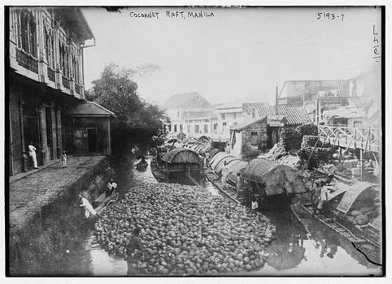 Coconut raft in Pasig River