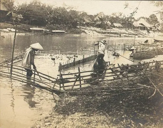 Duck farm in Pasig River