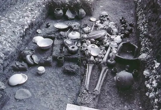 Skeletal remains and artifacts recovered at the Santa Ana excavations