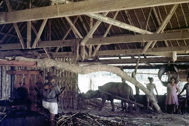 Cebu in the 1940s