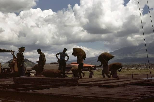 Workers near Mayon Volcano in the 1940s