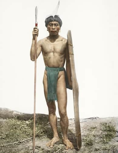An Ifugao warrior poses with a shield and spear for a portrait