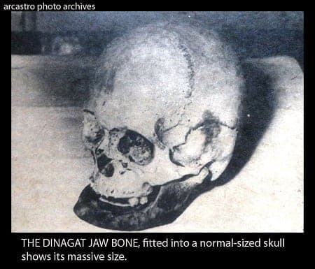 Jaw bone of the Dinagat giant