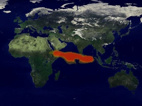 Sulfur dioxide emission seven days after Mt. Pinatubo erupted (June 23, 1991). Image Courtesy: NASA